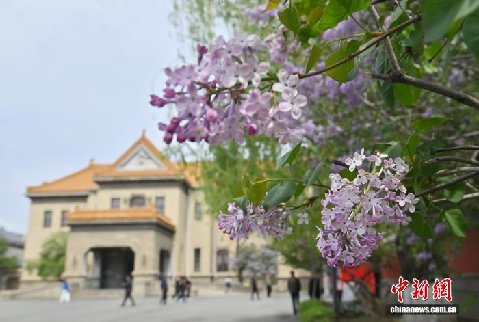 重庆时时彩：吉林长春：伪满皇宫博物院古丁香引客来