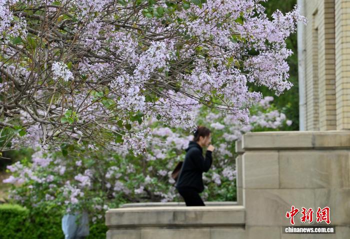 重庆时时彩：吉林长春：伪满皇宫博物院古丁香引客来